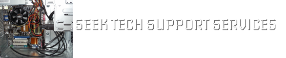 Seek Tech Support Services